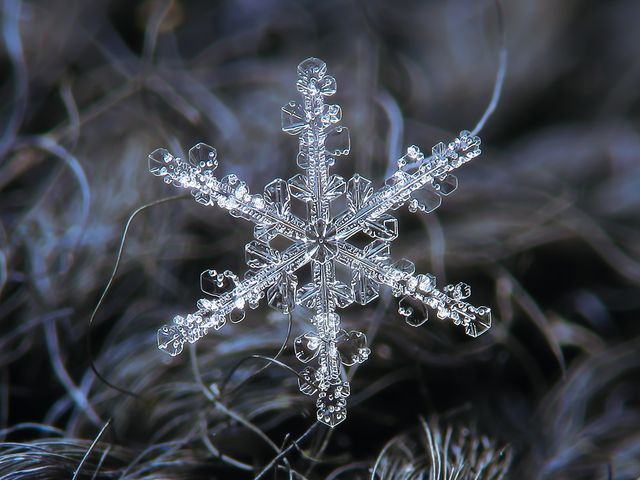 A single snowflake